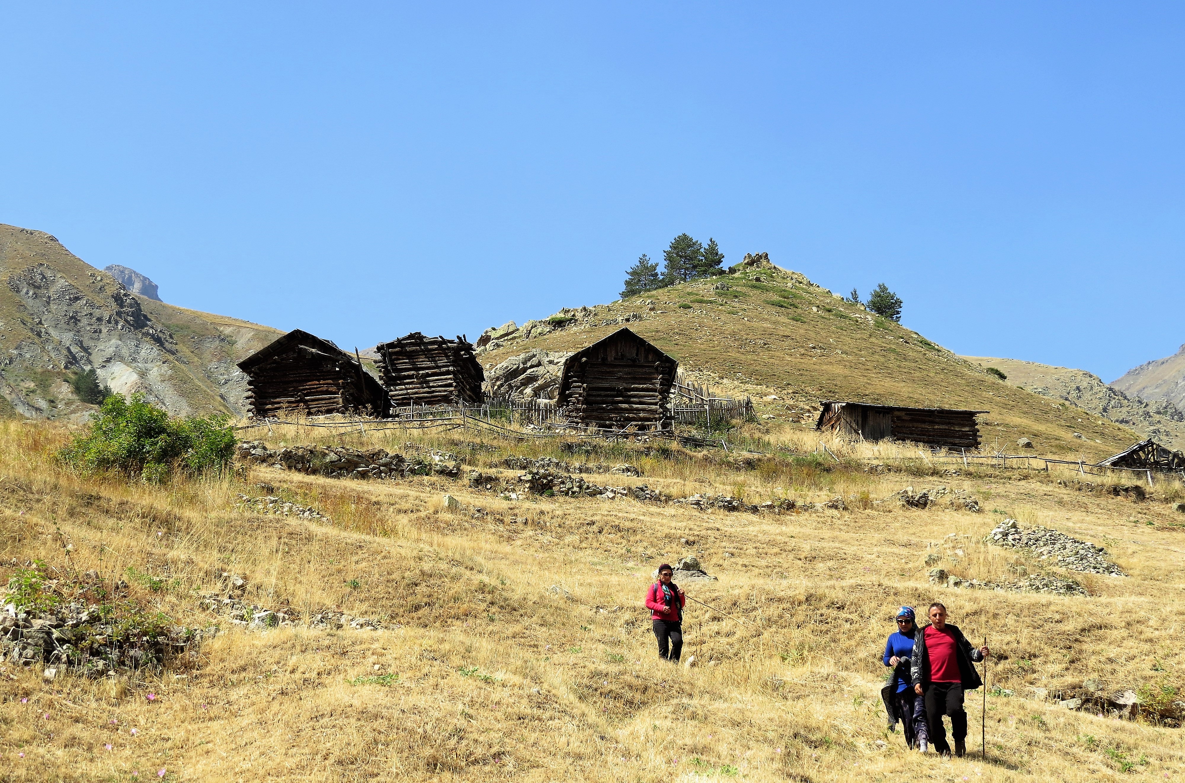 zorbatv.dergi